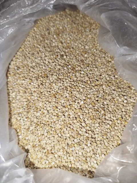 Raw Quinoa Quinoa Grains Quinoa seeds Unpeeled Quinoa Unwashed Quinoa - Image 2