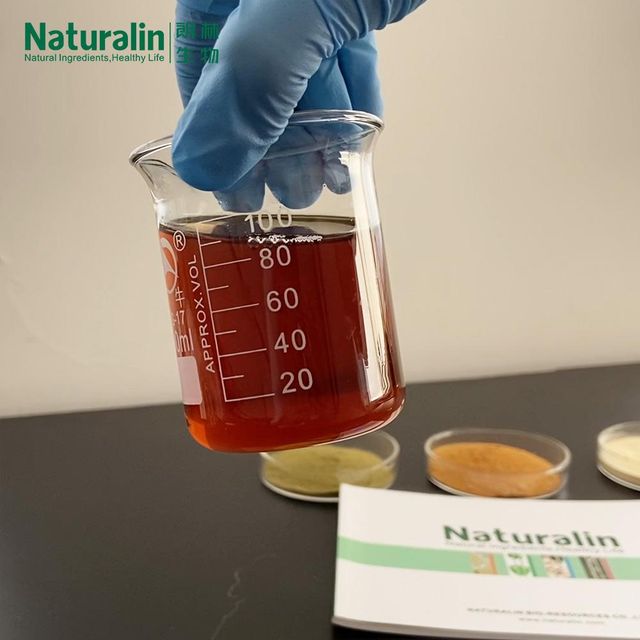 Rosemary Extract - Image 4