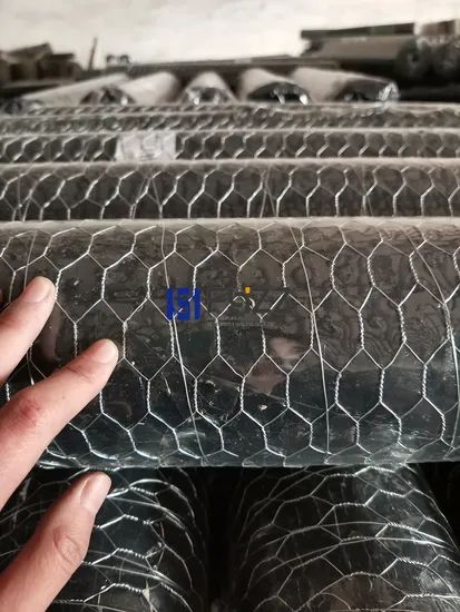 Galvanized Hexagonal Metal Wire Mesh for Chickens Rabbits and Other Poultry Farming Fencing - Image 1