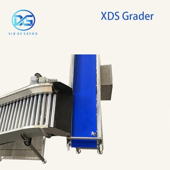 Persimmon Sorting Machine for Fruit Washing Packing Origin China Power 3.75kw Model NO. 0201 HS Code 84223000 Voltage - Image 5