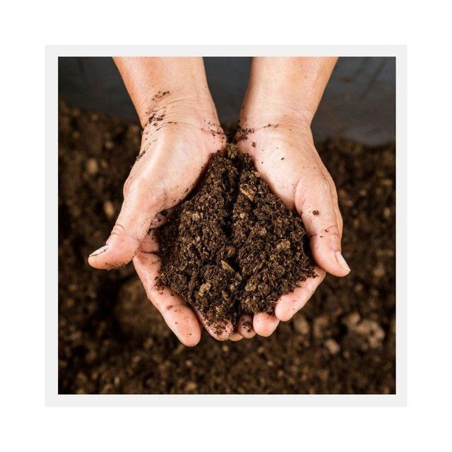Peat moss offered at discount price for agricultural and horticultural use - Image 2