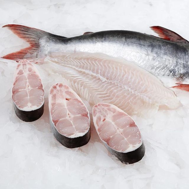 Frozen Catfish Premium Frozen Fish Selection For Seafood Importers Retail Suppliers And Wholesale Buyers - Image 5