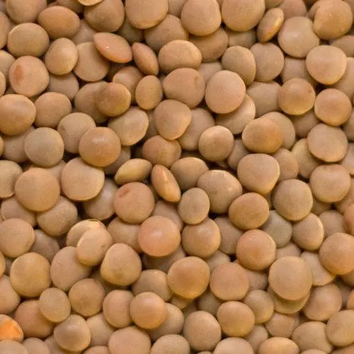 Dried Lentils - Image 3