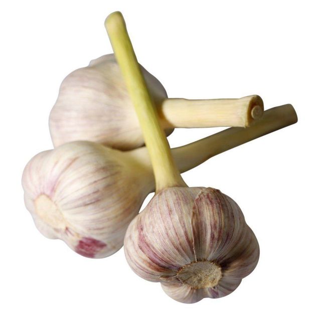 Carefully Sorted Fresh White Garlic With Strong Aroma Delivered In Mesh Bags For Overseas Food Supply - Image 5