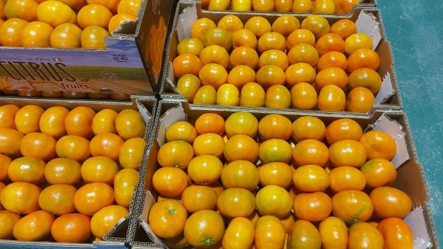 Mandarins W. Murcott Place of Origin Peru Packaging 10 kg / 15 - Image 1