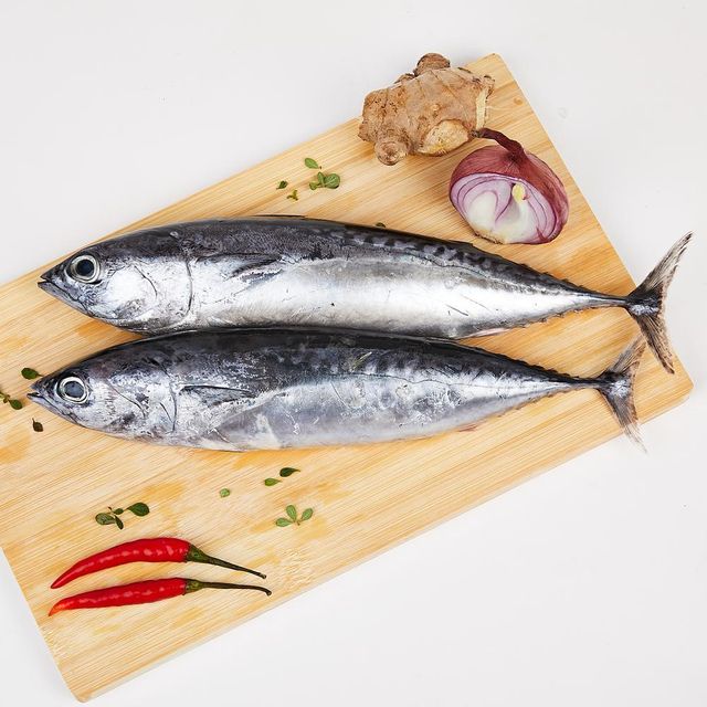 Frozen Tuna Fish Export Ready Seafood Selection Featuring Firm Meat Structure And Outstanding Nutritiona - Image 5