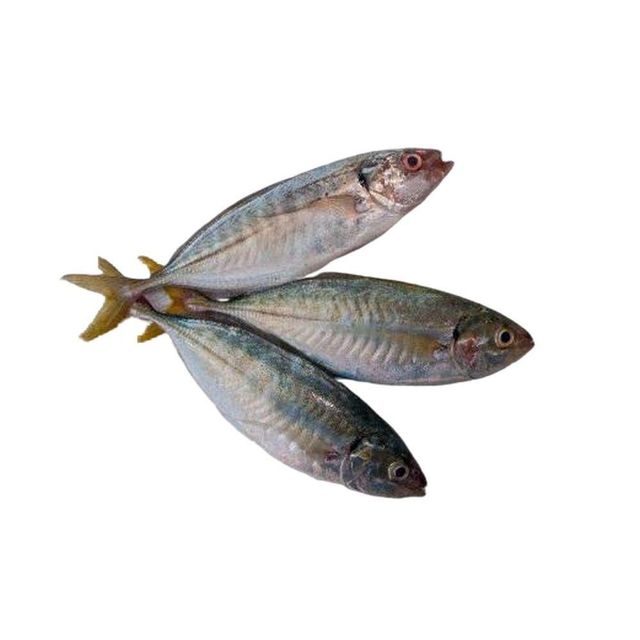 Frozen Mackerel Fish Deep Sea Harvested Seafood Offering Excellent Texture And Fresh Taste For Bulk Importers - Image 2