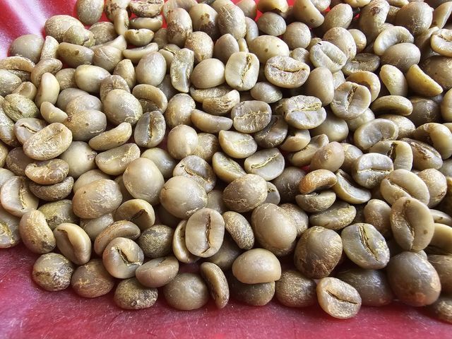 Coffee - Image 11