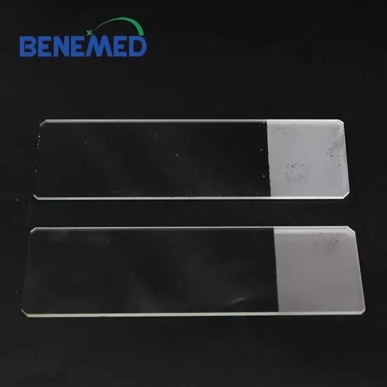 Microscope Slides (7105) - Image 3