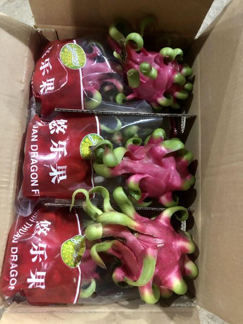 Fresh White Dragon Fruit Wholesale Price Size 250-650gr Red Pink Skin White Flesh Fresh Vietnam Manufacturer - Image 6