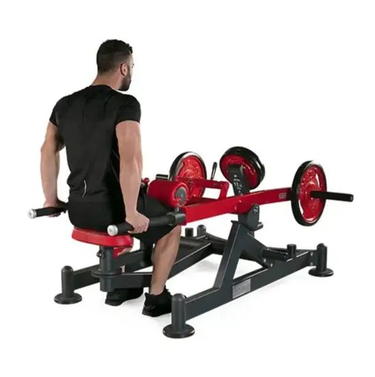 Gym Dual Function Fitness Equipment Plate Load Strength Exercise Machine Horizontal Bench Dips Press - Image 6