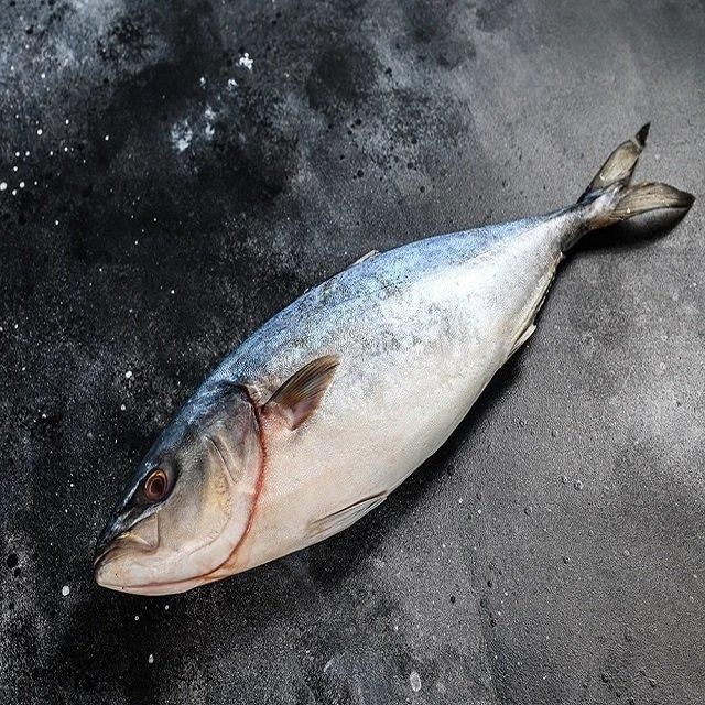 Low-Fat Nutritious Seafood IQF Frozen Yellowfin Tuna Loin Wild-Caught a Grade with - Image 3