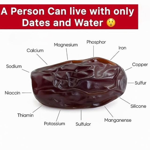 Pakistani Premium Fresh Aseel Dates For WholeSale Buyers - Image 3