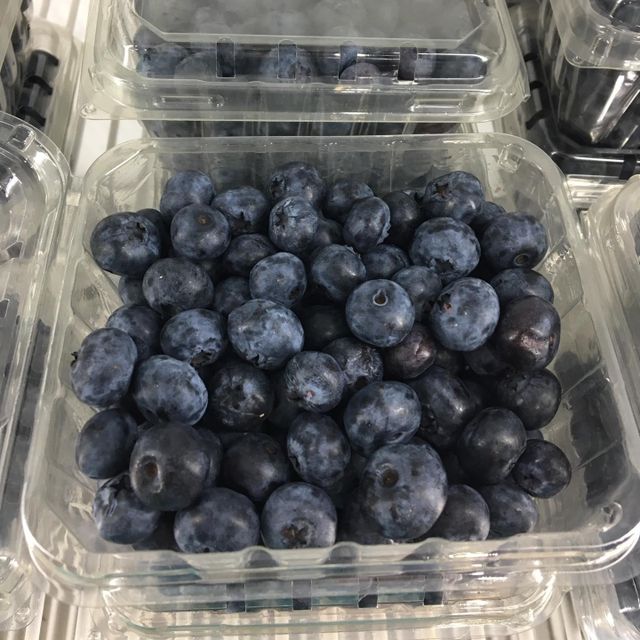 Premium Fresh Blueberries from South Africa for Exports! Class 1 export quality professional packing - Image 4