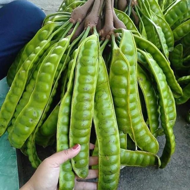 BITTER BEANS - Image 1