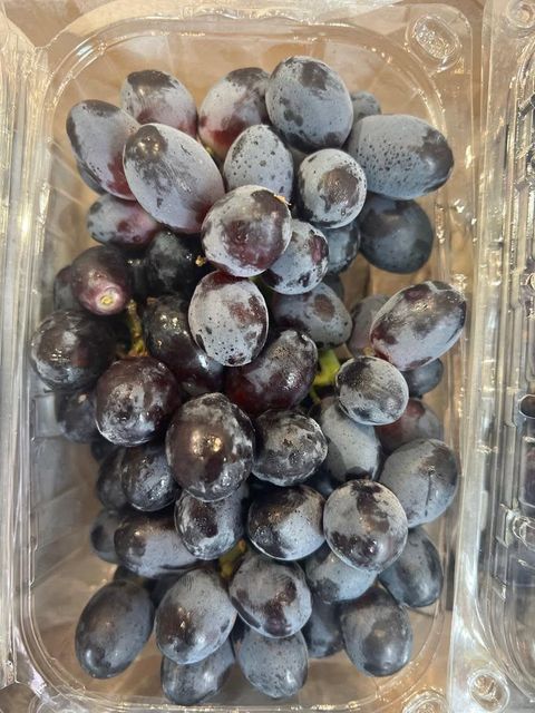 Superior Grade Autumn Royal Seedless Grapes for Sale!! Class 1 quality Black Seedless Grapes from South Africa – product photo 1, product detail gallery