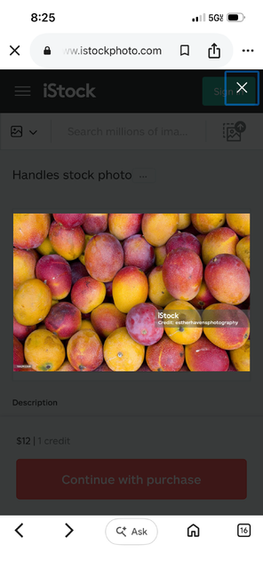 Fresh Lemon - Image 6