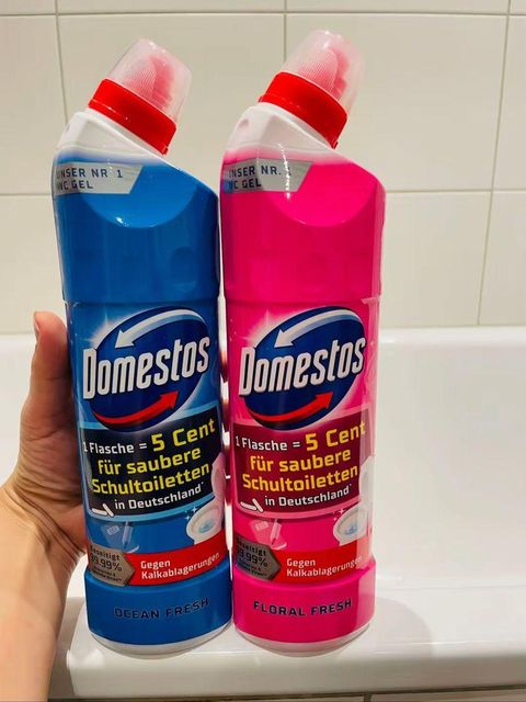 Reliable Domestos Premium Disinfectant Solution Excellent Quality Wholesale Price Ideal for Home and Commercial Use - Image 2