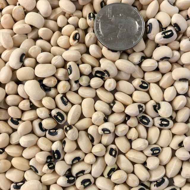 Fresh Black Eyed Peas Export Quality Black Eyed Peas Carefully Packed For Fast Delivery And Wholesale Orders - Image 4