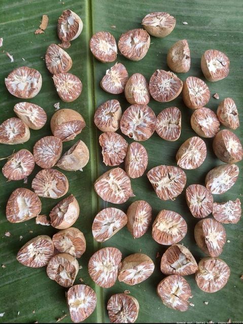 Top Grade Raw Betel Nuts Fresh Natural Quality Buy Today At Wholesale Price For Commercial And Retail Business - Image 5