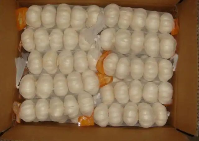 Pure Garlic 4.5+ - Image 2