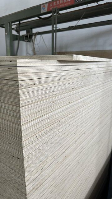 Birch plywood 1220*2440*18 - Image 4