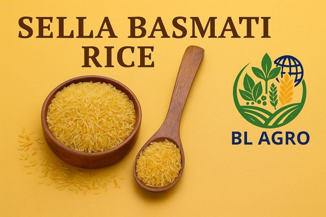 1121 SELLA BASMATI RICE – product photo 2, product detail gallery