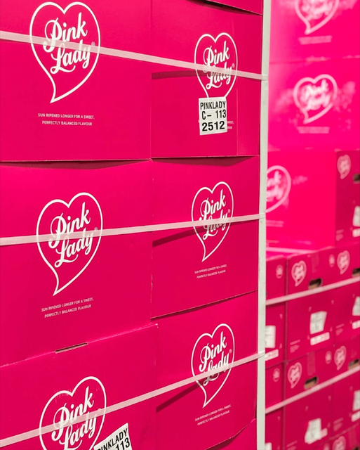 MOST POPULAR VIBRANT PINK-RED SKIN COLOR LADY APPLES, PREMIUM FRESH SWEET TART BALANCED FLAVOR PINK LADY APPLES 18KG SALE - Image 3