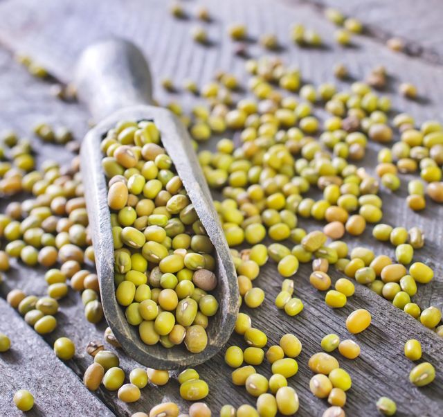 Natural Organic Non-GMO Premium Grade Green Mung Beans Dried Rich Source Protein Fiber Vacuum Pack Bulk 24-Month Shelf - Image 4