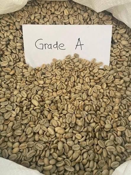 coffee beans for sale Organic Yes Origin Ethiopia Roasting level Medium Degree of Processing Raw Bean Type Arabica, - Image 1