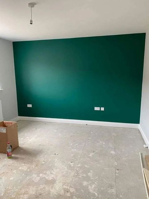 Plastic Paint Services Finish Satin services 4500 product premium Surface Type Wall Property Type Mall Paint Type - Image 12