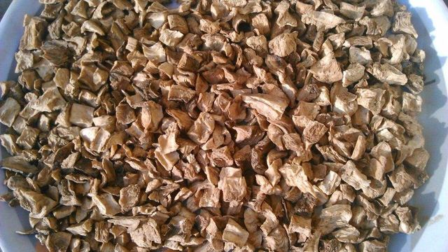 ORGANIC DRY CHICORY ROOT Organic Yes Freshness Level Fresh Quality Grade Usd, Inr Minimum Order Quantity 10000 Kg Origin Belgium, France, Germany, India, Italy - Image 1