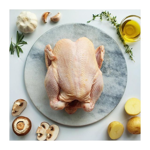 Whole Frozen Chicken With Premium Quality Frozen Chicken Cuts Ready For Processing And Export To Global Markets - Image 4