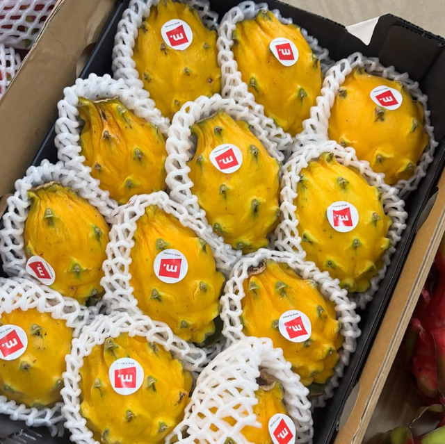 Premium Fresh Harvest Dragon Fruit Export Quality 9kg Dragon Fruit Sale - Image 4