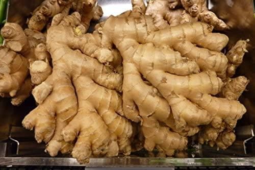 Raw Shea butter, organic ginger, organic honey - Image 3