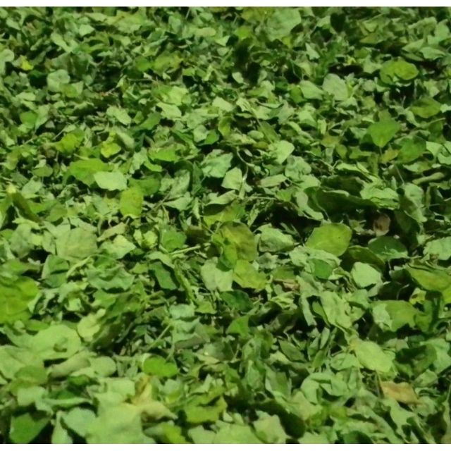 DRIED MORINGA LEAVES 100% Original Purity 100% Packaging Pack Weight (kg) 1 kg Shape Dried Leaves Shelf Life 12 Months Quality original 100% - Image 2