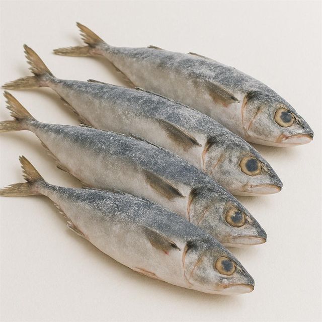 Frozen Mackerel Fish Export Ready Whole Seafood Processed Under Strict Quality Control For Global Buyers - Image 1