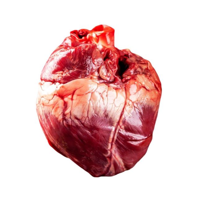 Natural Frozen Beef Kidney Export Grade Premium Frozen Meat With Excellent Quality Wholesale Price - Image 3