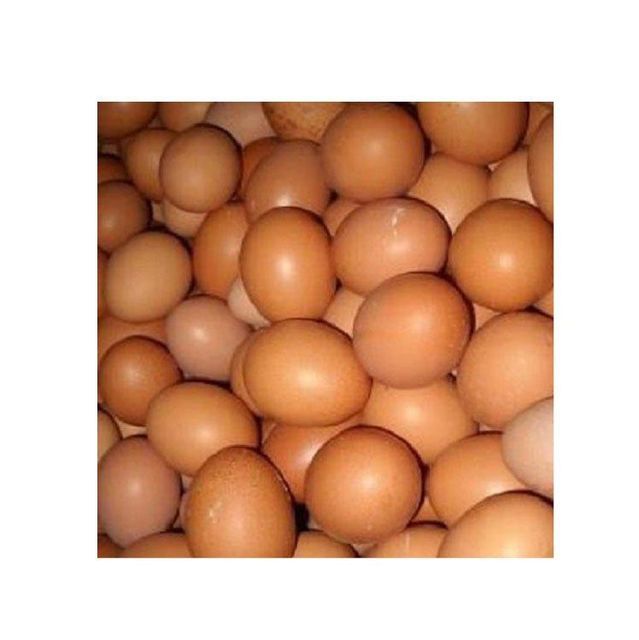 Farm fresh brown chicken eggs clean and natural daily food supply bulk - Image 3