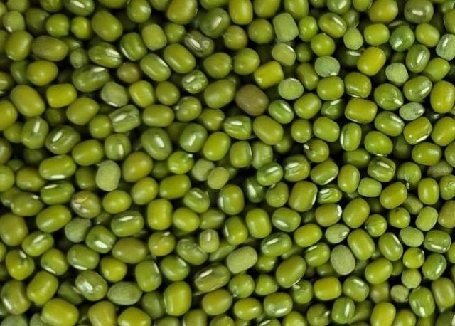 Green Mung Bean Size 3.5 Style Fresh Weight (kg) 25 Type Green Beans Brand Name Custom Address Bangladesh Shelf Life 2 - Image 3