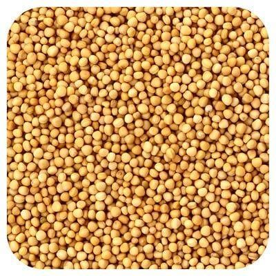 Premium Wholesale Mustard Seeds Supplier | High Purity Natural Yellow & Black Mustard Seeds for Oil Extraction, Spice Processing, Food Manufacturing, Condiment Production, and Global Bulk Export with Custom Packaging Solutions - Image 4