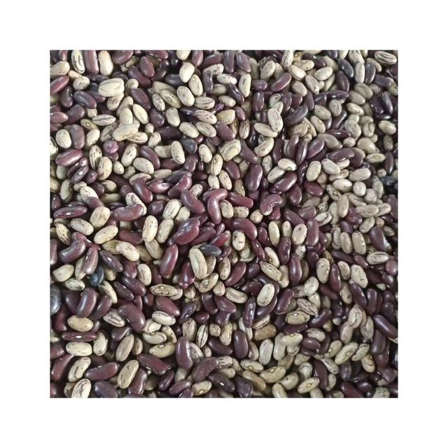 Top selling sugar beans for bulk shipment across global markets - Image 1