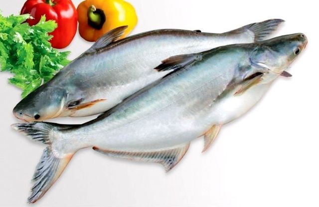 VIETNAM High Quality Frozen BASA fish (PANGASIUS) Frozen Pangasius Fillet/Pangasius fish - Image 2