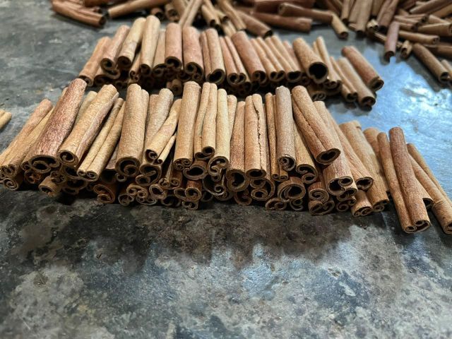 Premium Indonesian Cinnamon Sticks - Image 4