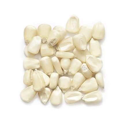 Corn Whitecorn Factory Supply Natural And Fresh Delicious Grains Full And Sweet Waxy Corn - Image 3