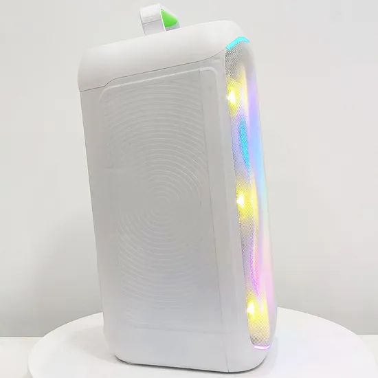 High Quality Double 8 Inch Party Box Speakers with Wireless Microphone - Image 5