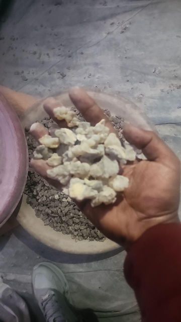 Ethiopian Olibanum gum Form Resin Material Other Origin Ethiopia Source Ethiopia And Africa's Rich Flora Application Natural Resins And Oils In Agriculture, Food, And Beverage - Image 3