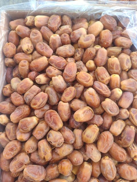 Dates – product photo 3, product detail gallery