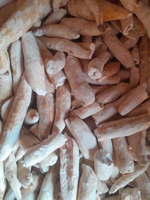 Cassava chips Organic Yes Port Mombasa Origin Kenya Features Floury Sizes Various Sizes Freshness Level Other Product Form Dried - Image 2