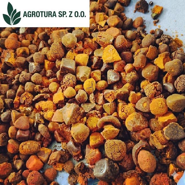High-Quality Natural Cow Ox Gallstones for Sale – Refined Bovine Gallstones for Medicinal and Industrial Applications, Professionally Graded, Dried, and Packaged for International Wholesale Distribution with Strict Quality Control and Competitive Pricing - Image 3